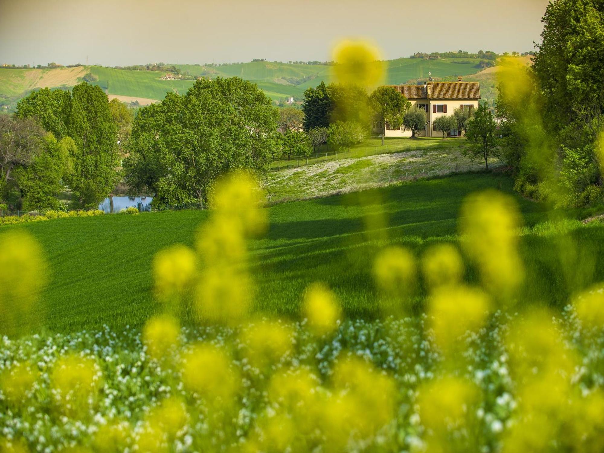 Inviting Holiday Home In San Costanzo With Swimming Pool Zewnętrze zdjęcie